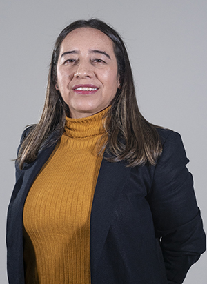 Diana Maria Cuadros de Vilchez