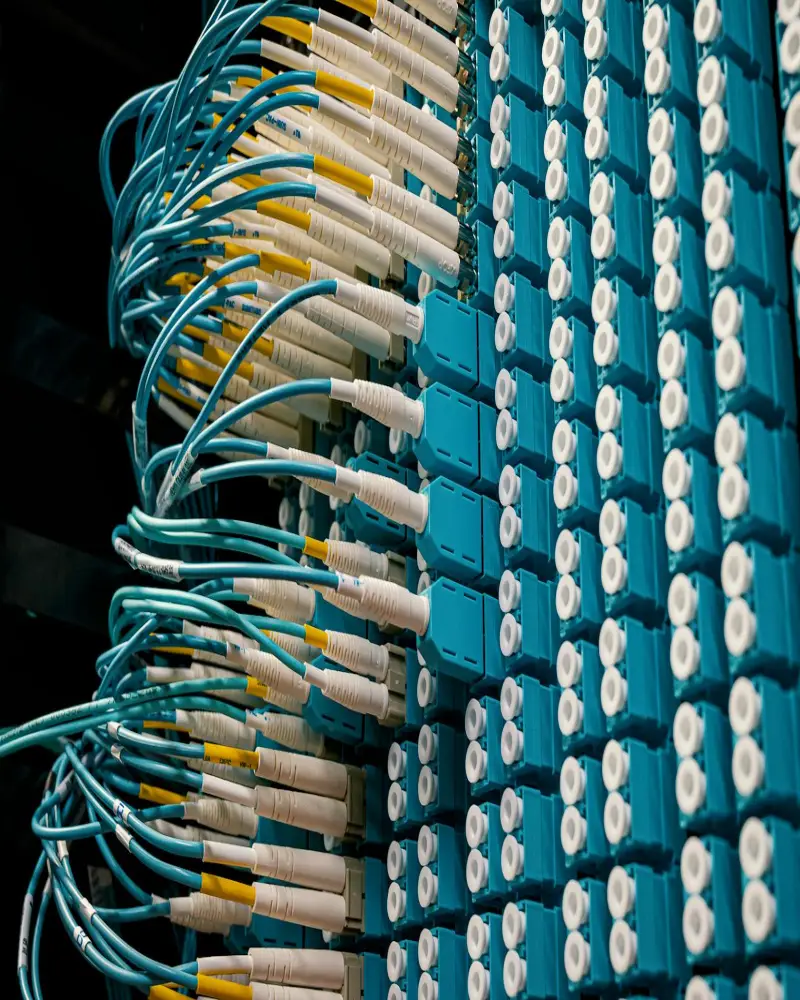 Cableado estructurado y panel de parcheo en rack